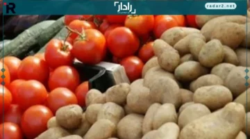 أسعار الخضراوات في مطروح الأحد 19-10-2025.. البطاطس عند 12 جنيهاً